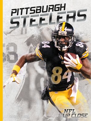 cover image of Pittsburgh Steelers